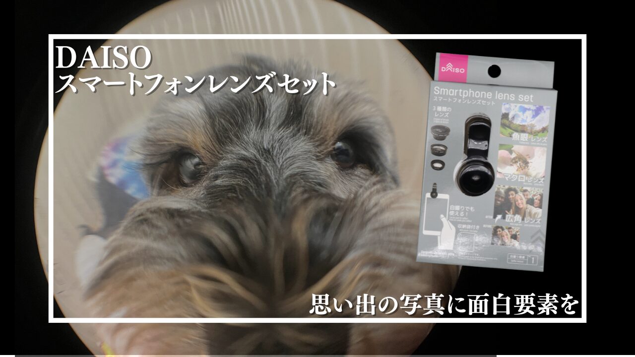レビュー】ダイソー「スマートフォンレンズセット」110円で遊べる3種類